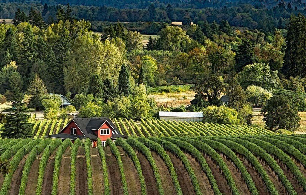 25134584933_c0d21074e1_b https://oregondreamsrealestate.com/wp-content/uploads/2020/07/25134584933_c0d21074e1_b.jpg
